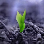 Daño cerebral y el apoyo familiar.